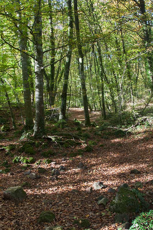 Parc Natural zona volcànica Garrotxa