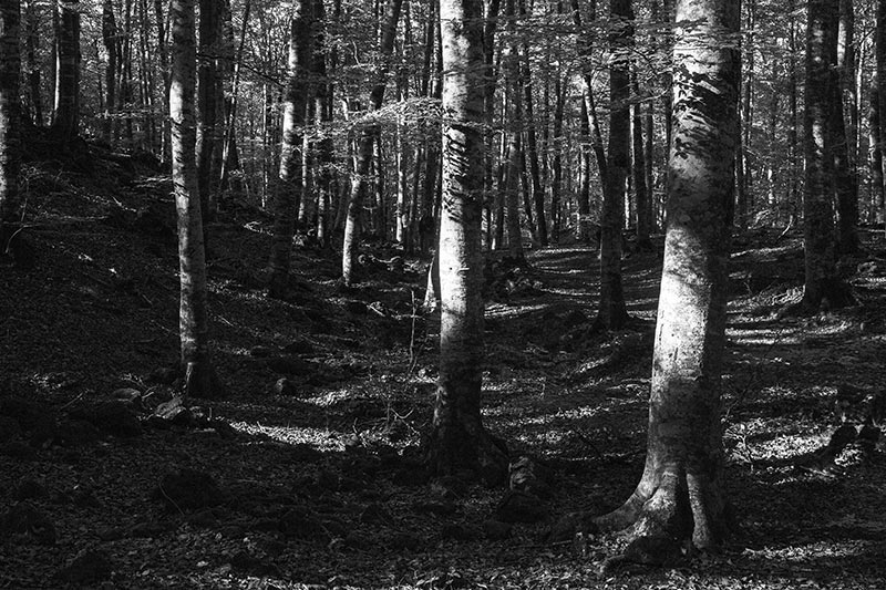 Parc Natural zona volcànica Garrotxa