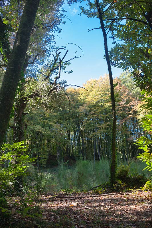 Parc Natural zona volcànica Garrotxa