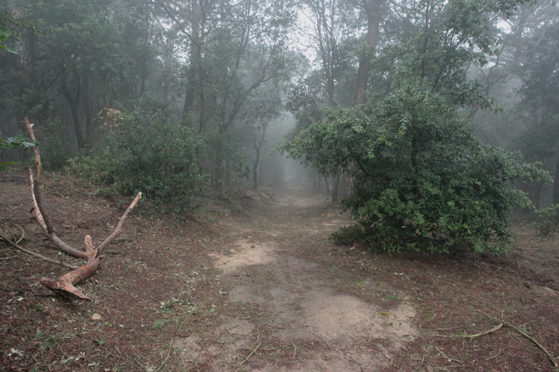 Santuari del corredor.