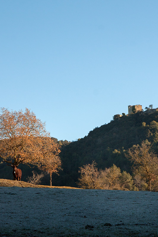 Castell de La Popa 1de25