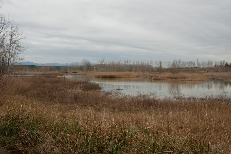 L'estany de Sils