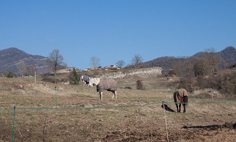 Passejant per Santa Maria de Besora