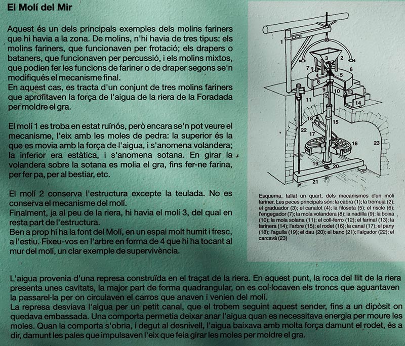 Cartell: El Molí del Mir