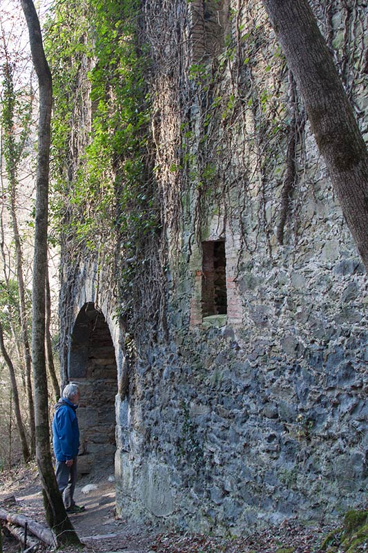 El Molí del Mir.( El que queda )