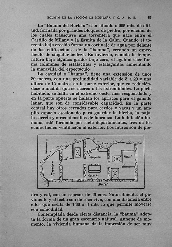 La Bauma del Teixidor. Article