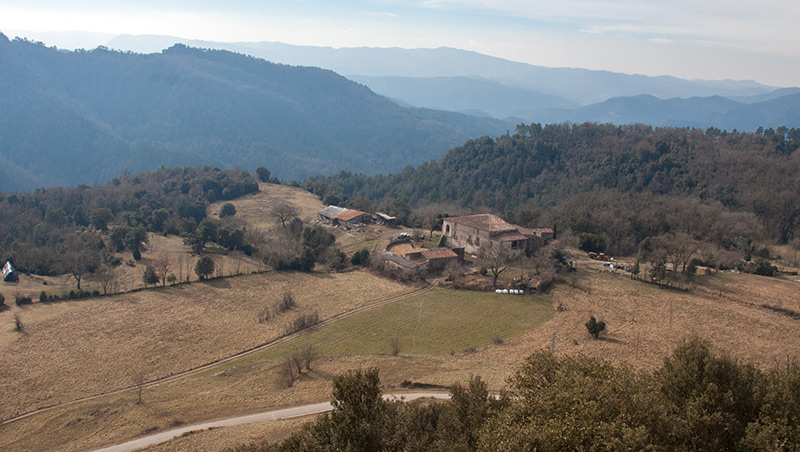 Castell de Llaés