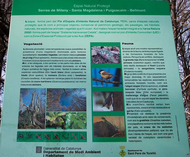 Cartell indicatiu.Bosc de la Grevolosa