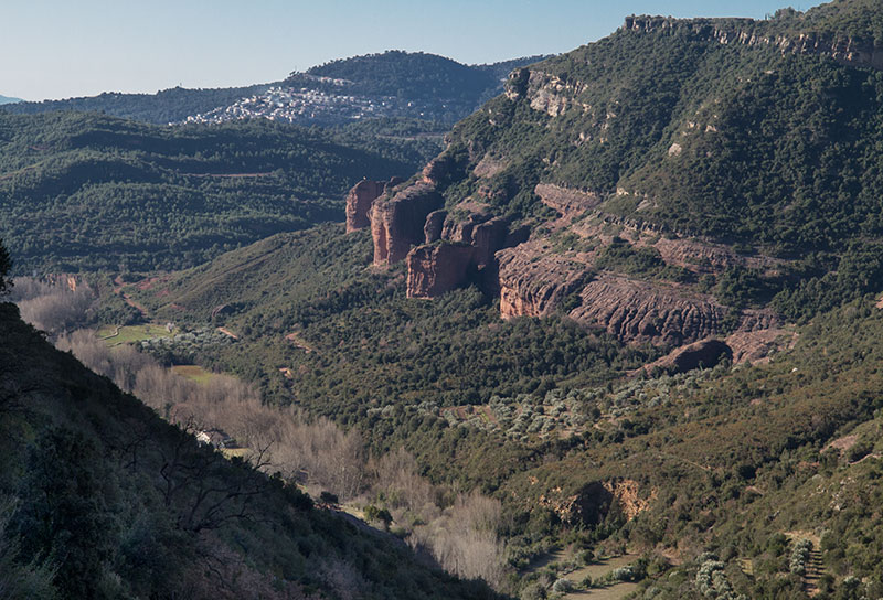 Sant Miquel del Fai.