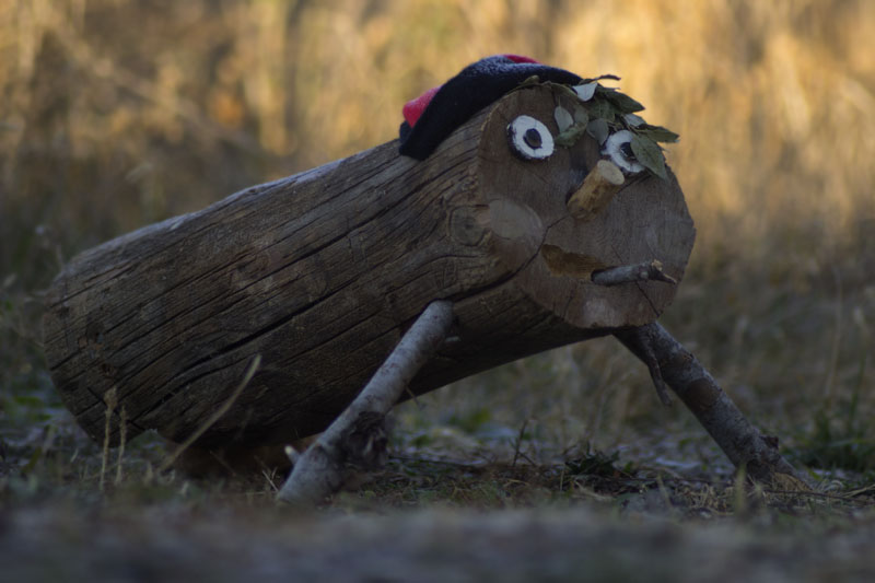 Tió en front de l'aguait