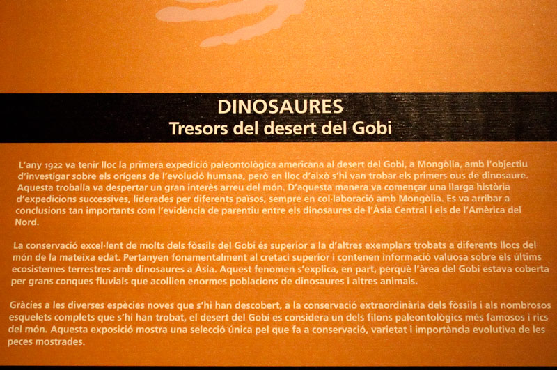 Cartell: Dinosaures