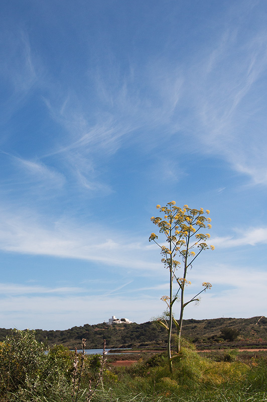 Menorca