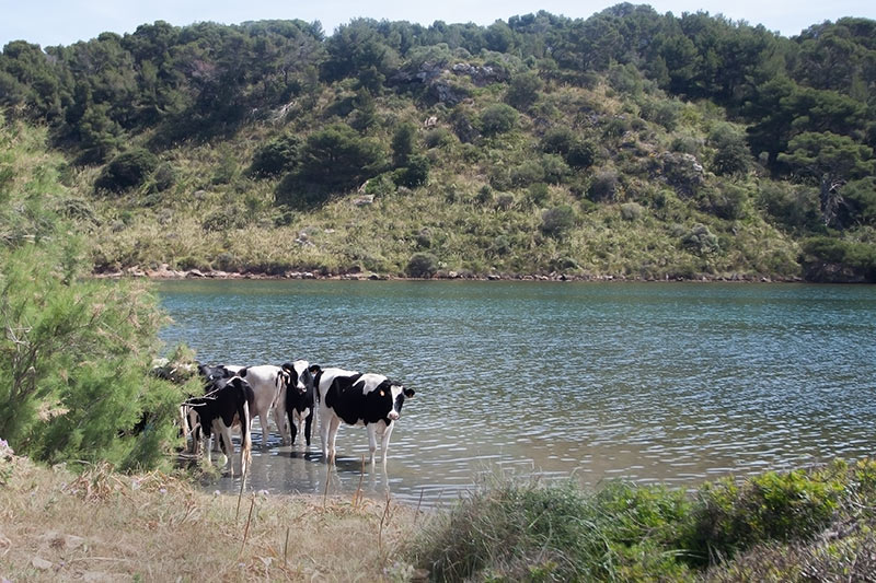 Menorca