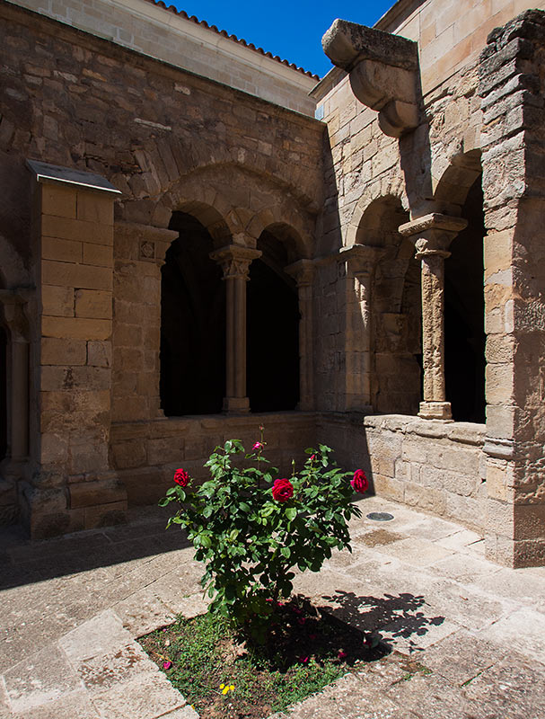 Passejant per: Vallbona de Monges