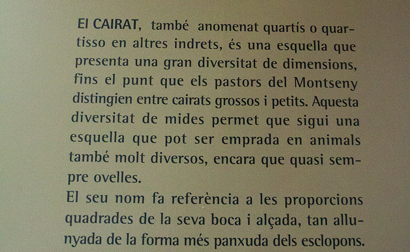 Montseny.Esquelles.El Cairat