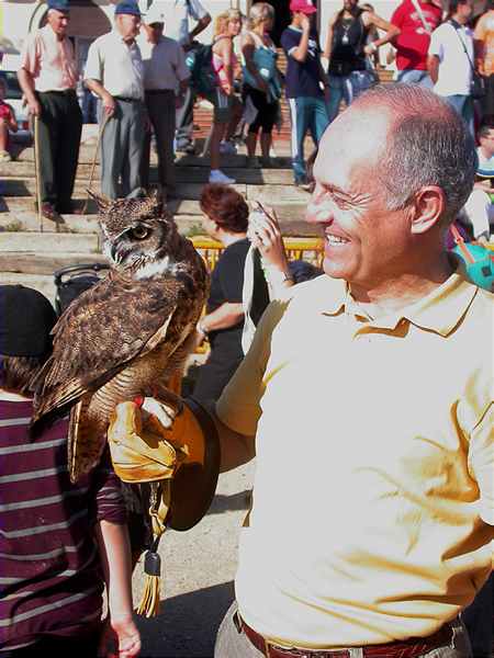 Falconer per un dia