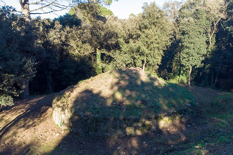 Pou de Glaç de can Draper de l'Ametlla del Vallès.