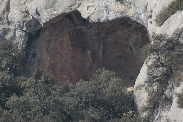 Cova del Cogulló