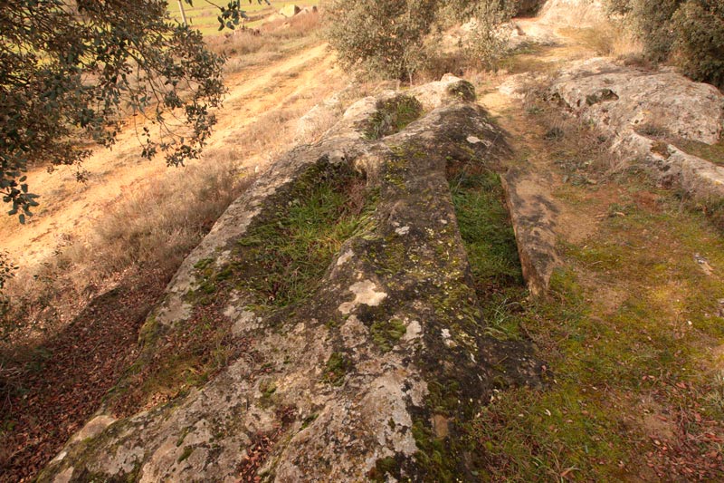 La necrópolis rupestre del Tossal de les Forques.