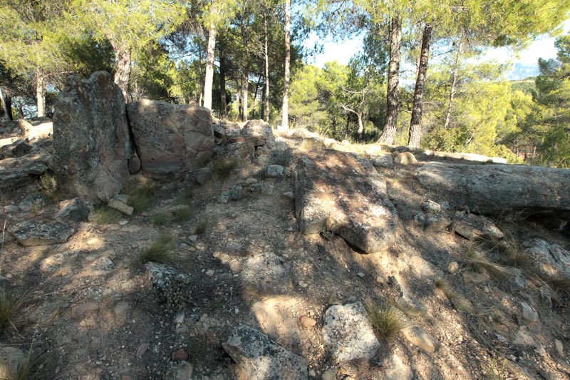 Túmul funerari, Vinya d’en Valle.