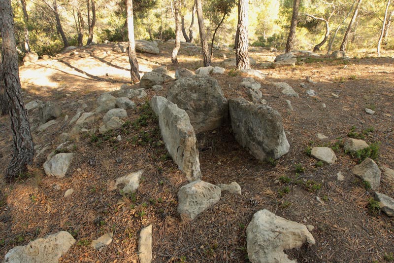 Túmul funerari, Vinya d’en Valle.