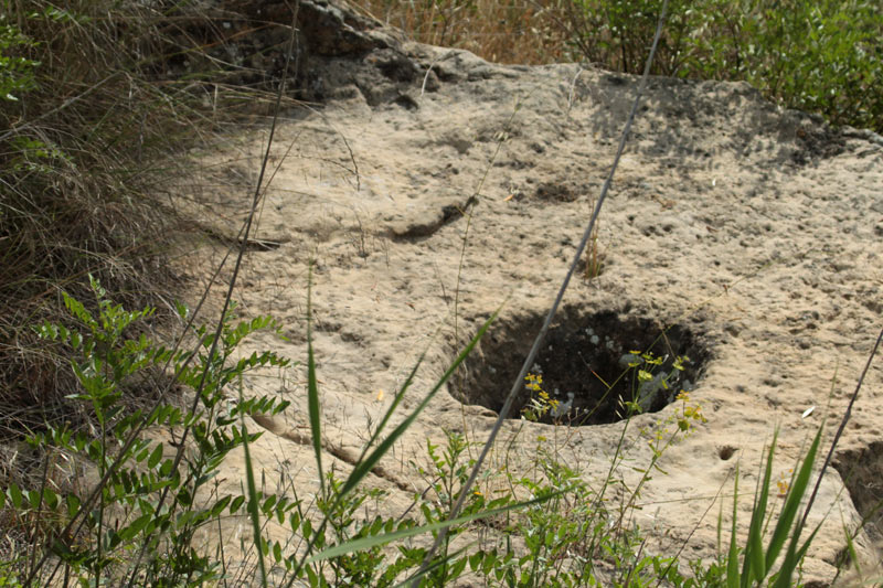 Cup excavat en la pedra.