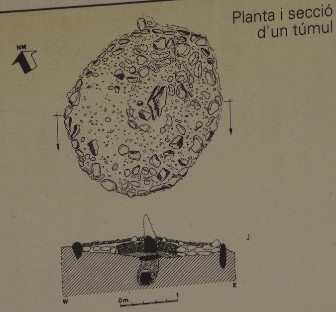 Túmul pla d'incineració