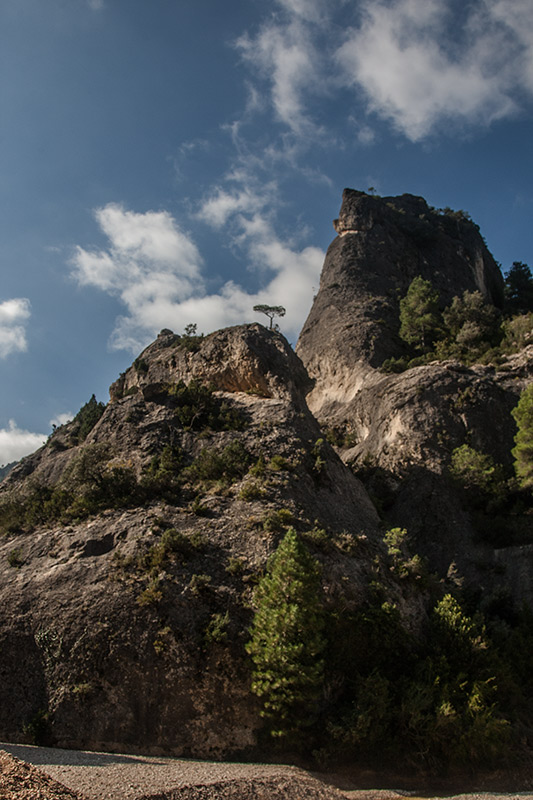 Caminant pel Parrizal