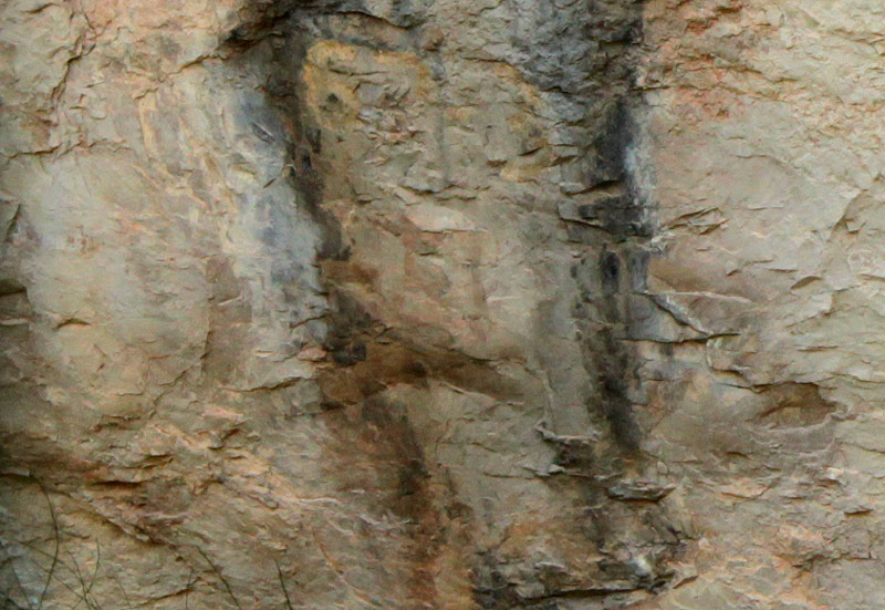 Pintures rupestres de la Fenellassa.