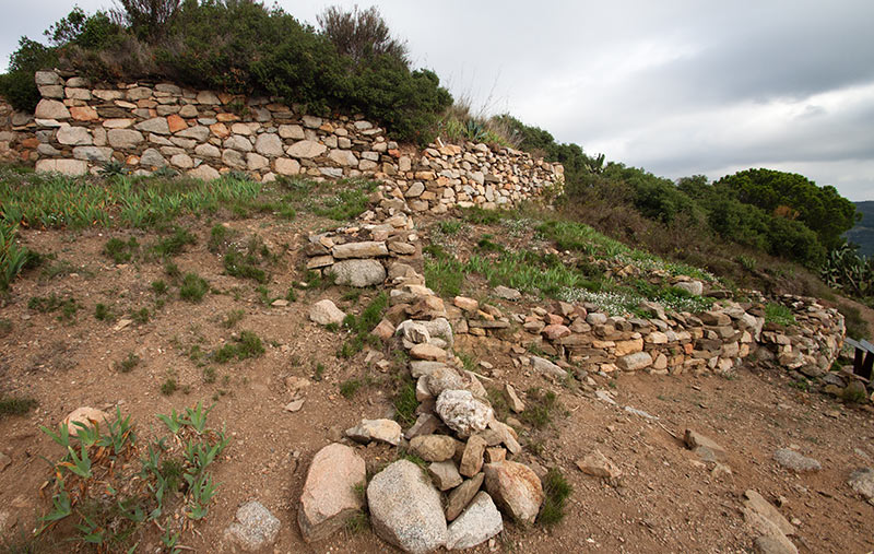 Poblat ibèric del Puig Castellar