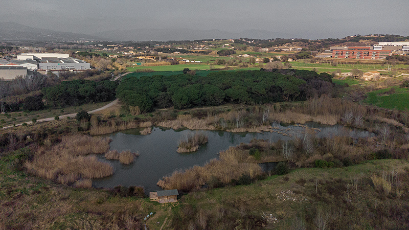 La bassa de Can Dunyó.