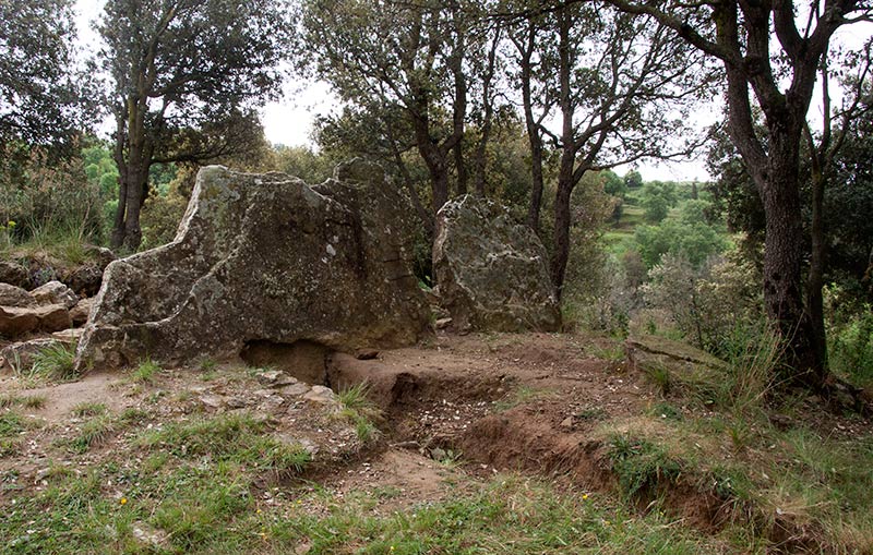 Dolmen de Puig Sespedras