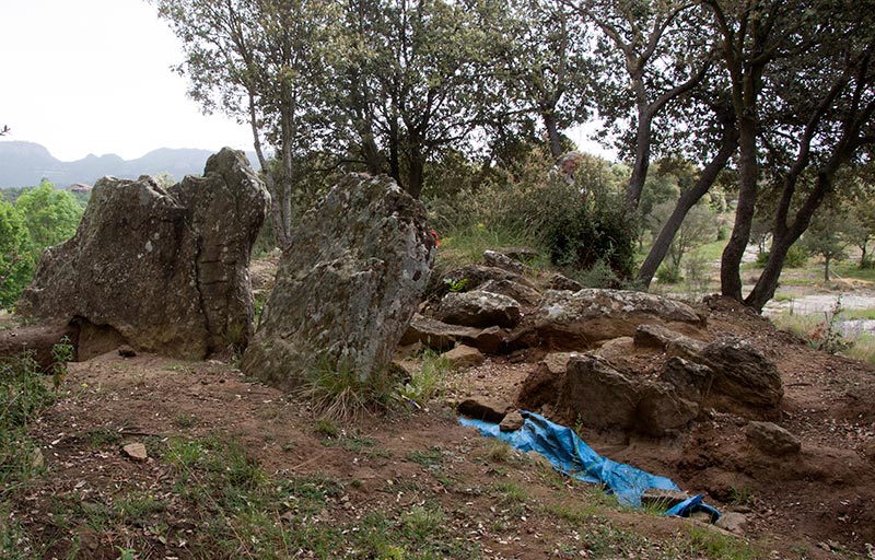 Dolmen de Puig Sespedras