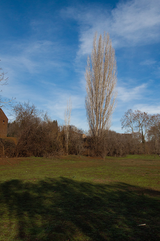 Passejant per Gallecs