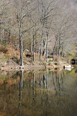 Reflexes de tardor. Pantà de Sta. Fe del Montseny