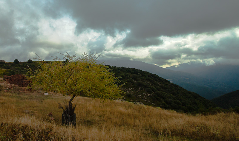 Passejant pel Montseny