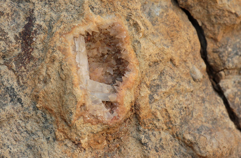 Eriçons de mar, rastres fòssils de  510 milions d'anys.