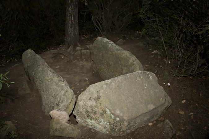 Dolmen de Can Gol II 3de3