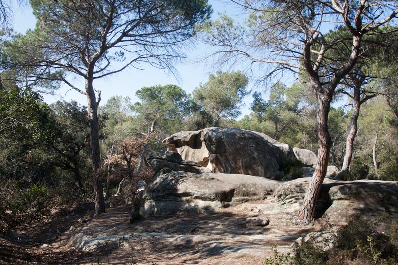 Pedra de les Orenetes