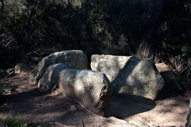 Dolmen de Can Gol II