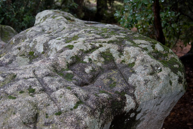 Pedra de les Creus 3de5