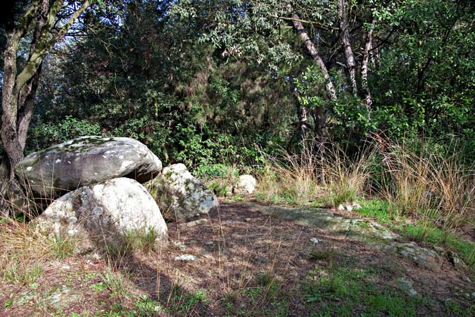 Dolmen de Can Planes 3de3