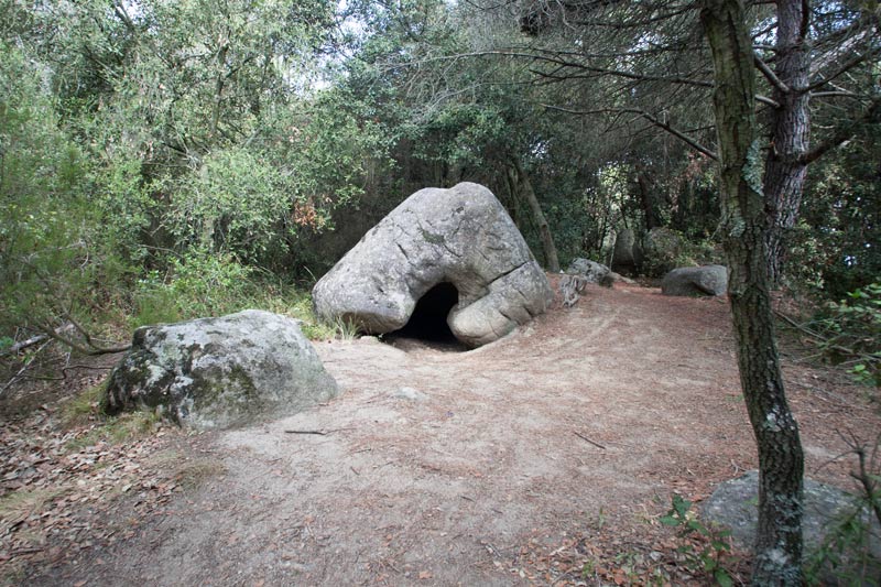 Roca foradada de can Planes