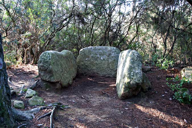 Dolmen de Can Gol II  2de3