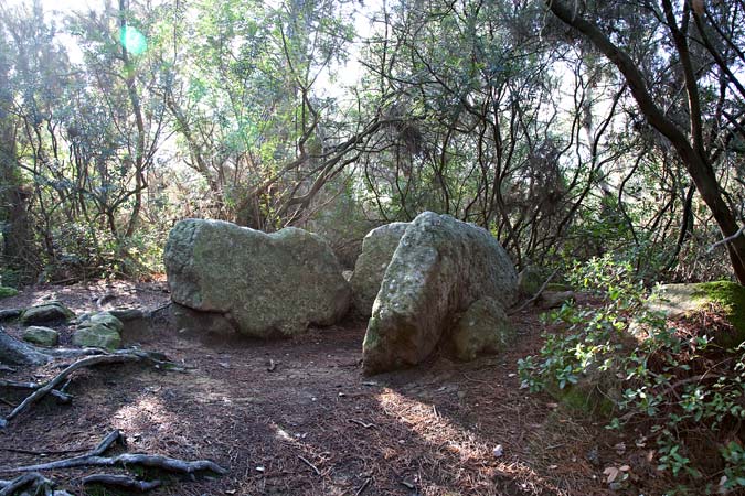 Dolmen de Can Gol II  3de3