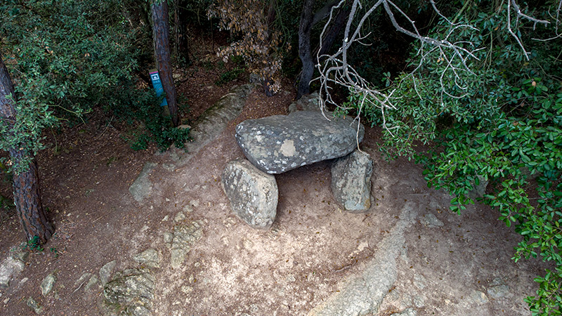 Dolmen de can Planes.