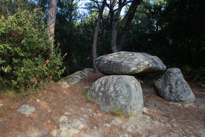 Dolmen de can Planes 3-12