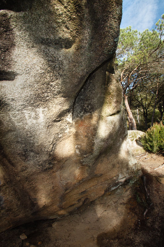 La Pedra de les Orenetes. 5-22