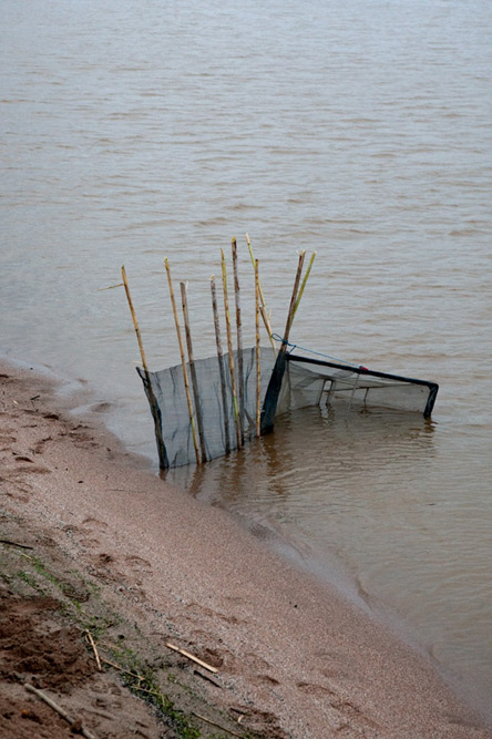Pescador d'Angules