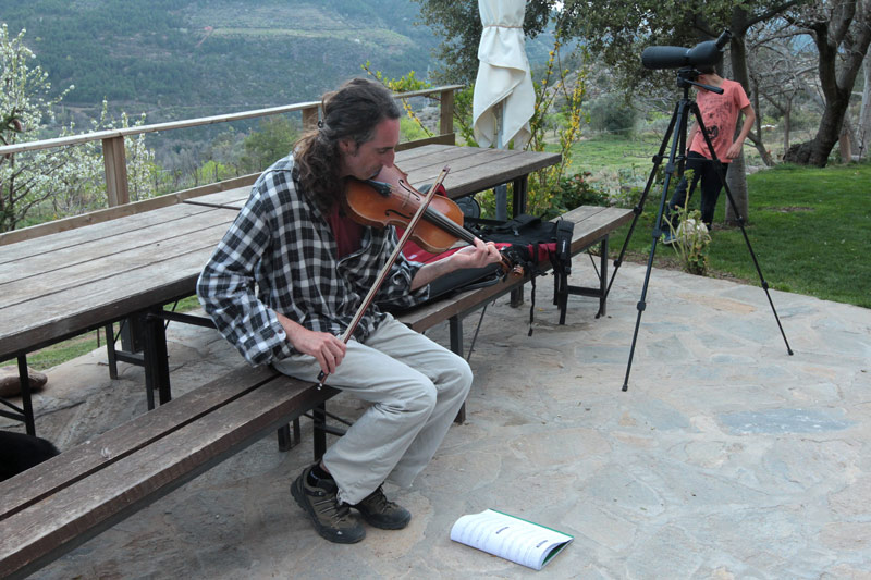 Músic tocant el  violí.